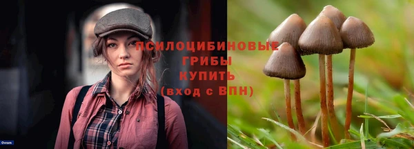 экстази Алексин