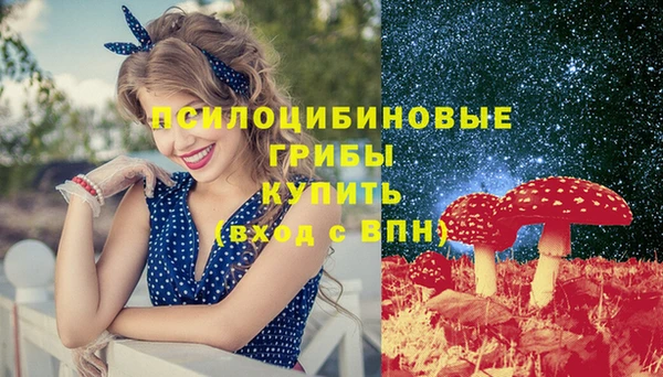 дурь Алексеевка