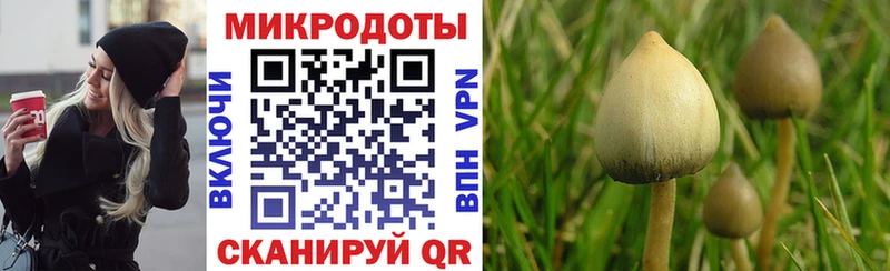 даркнет сайт  Туринск  Псилоцибиновые грибы GOLDEN TEACHER 